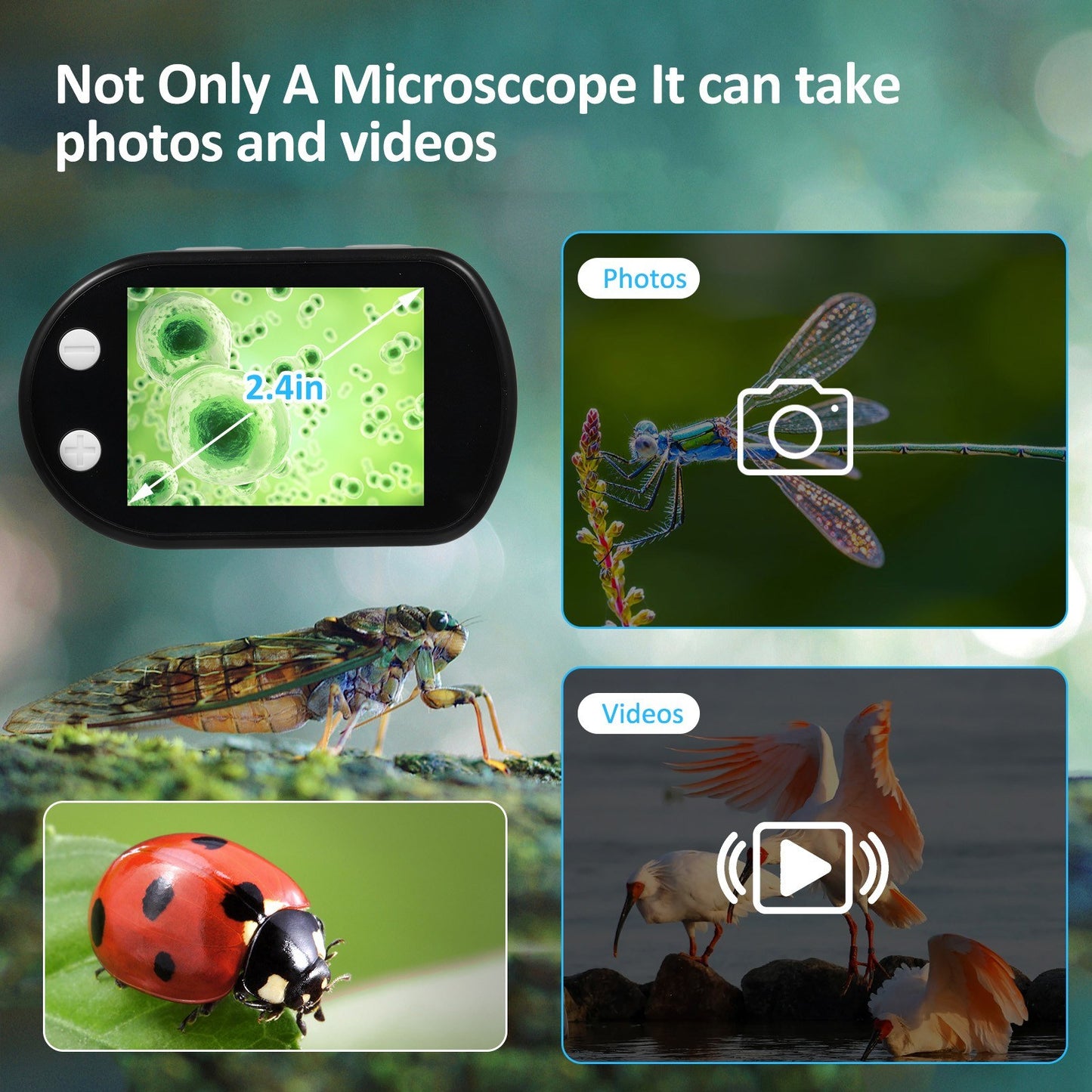Rechargeable Portable Digital Microscope with 2.4-Inch LCD Screen – Handheld Mini Microscope for Kids, Biology, and Science Education