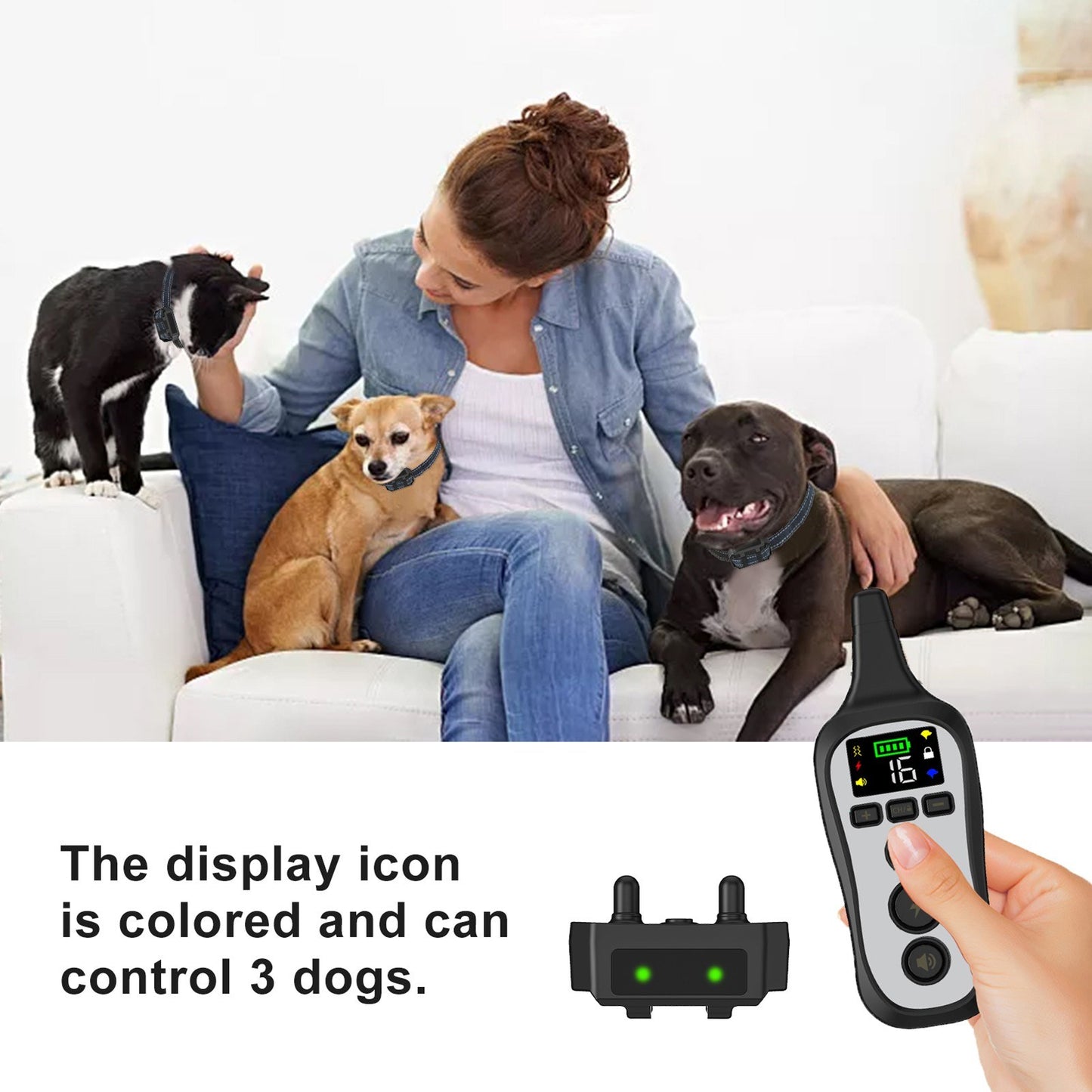 Remote Ultrasonic Dog Trainer with Electric Shock Collar