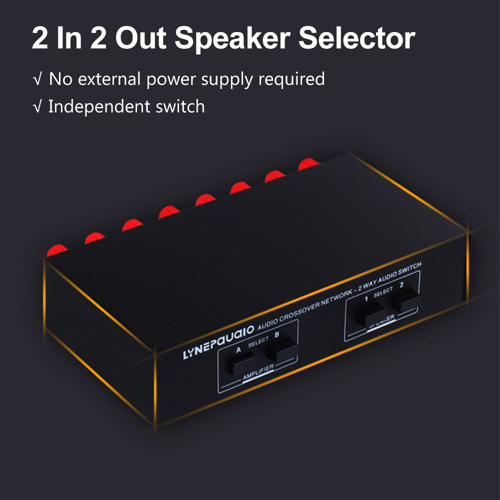 LYNEPAUAIO Dual In/Out Speaker Selector Switch