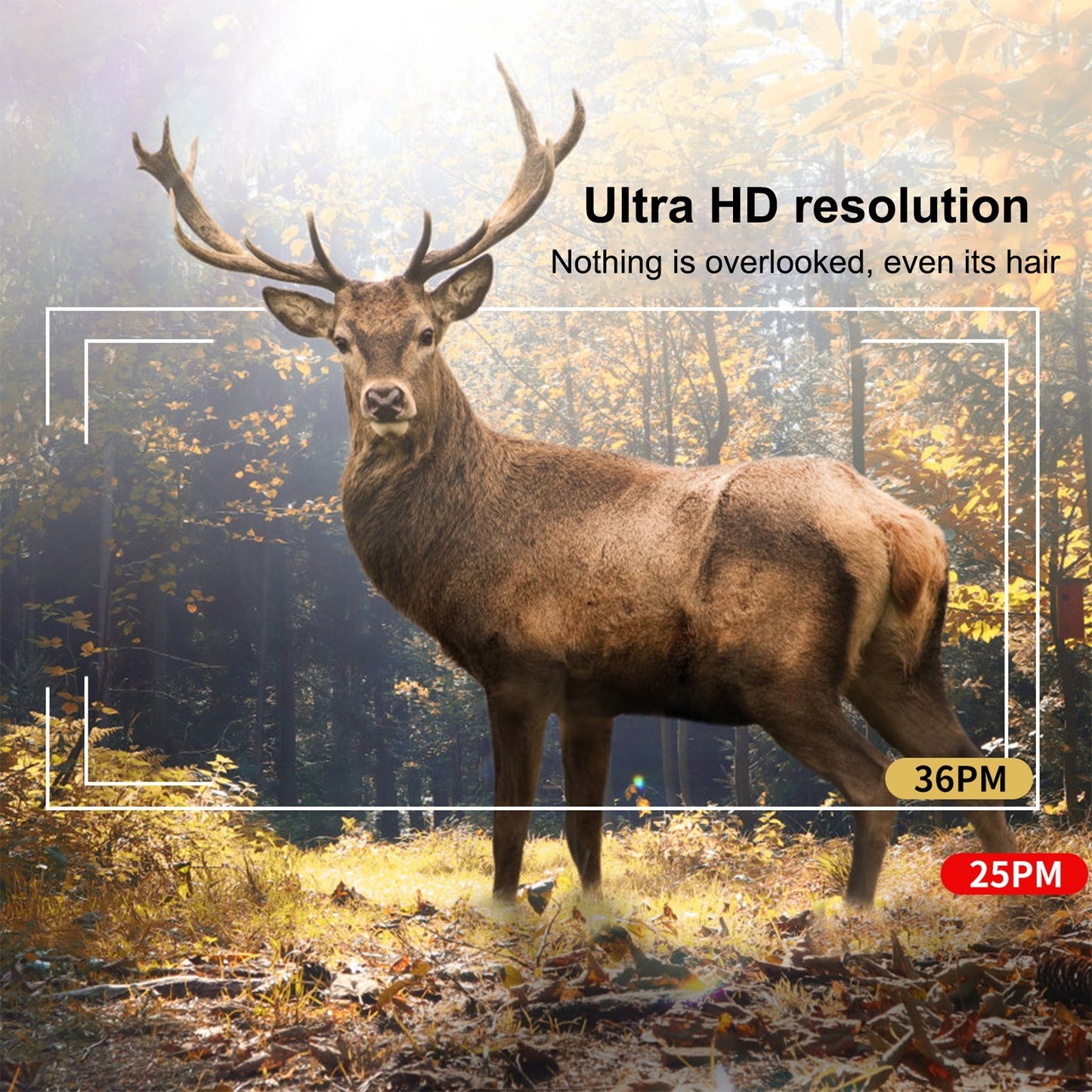4K 30MP Trail Camera with 2-Inch IPS Screen & 48 Infrared LEDs for Hunting