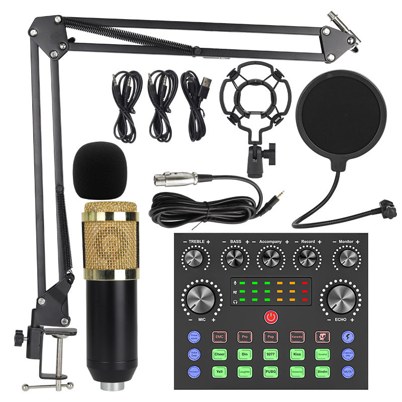 V8S Sound Card & BM800 Condenser Microphone Set