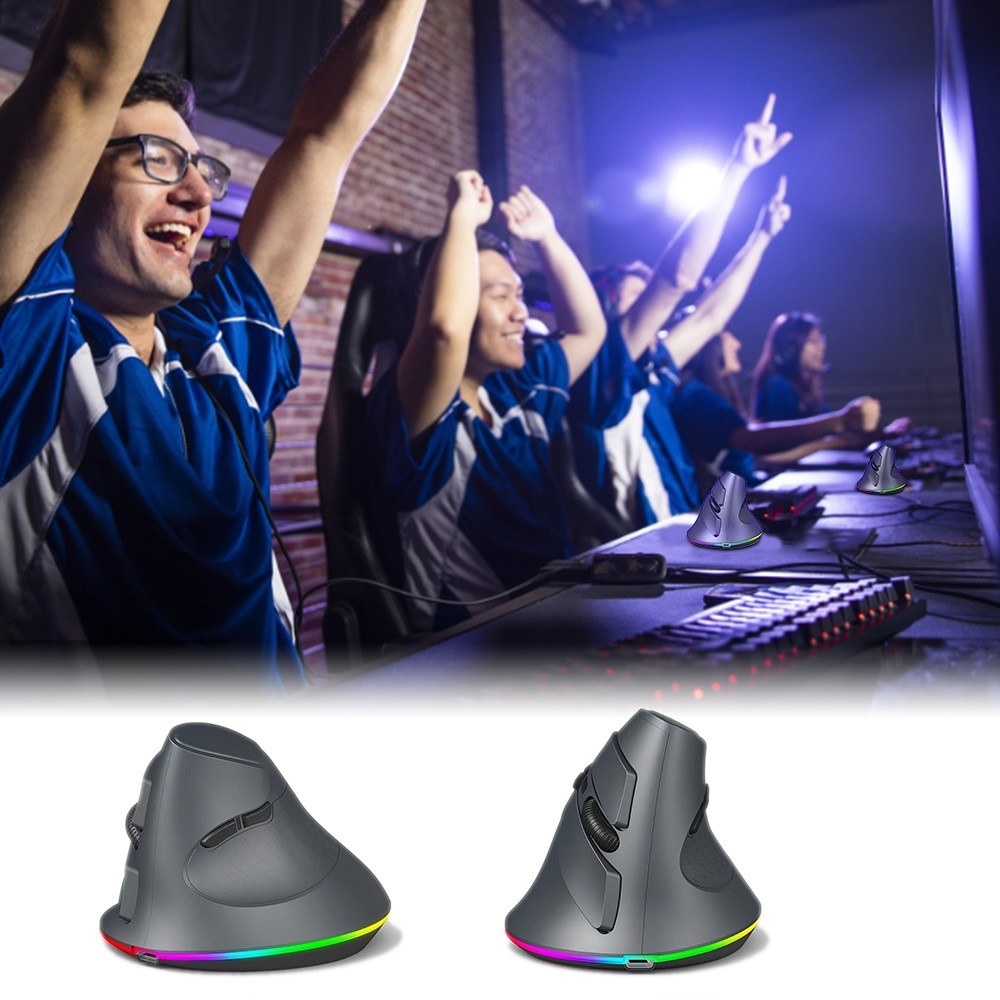 Ergonomic Vertical Wireless Gaming Mouse, Programmable with 2.4G & Bluetooth Connection