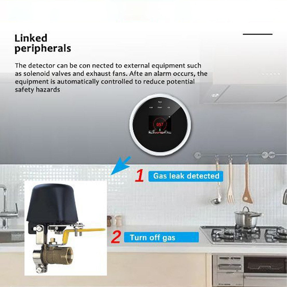 Tuya WiFi Smart Natural Gas Leak Detector, Compatible with Alexa & Google Assistant