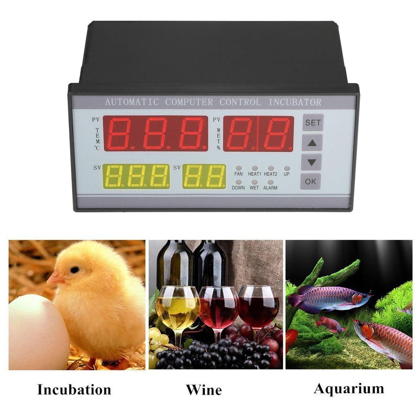 LED Digital Temp & Humidity Controller with 5 Egg Incubation Modes