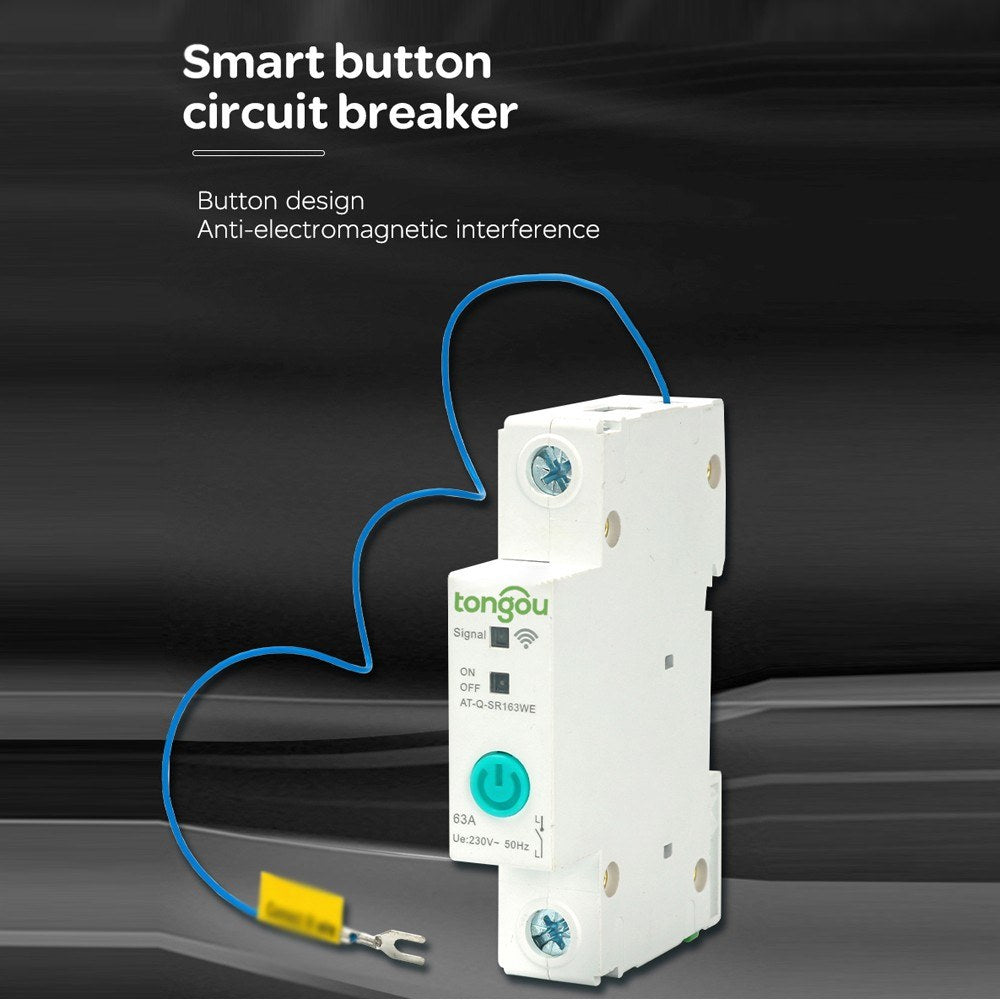 Smart WiFi Circuit Breaker 1P DIN Rail Switch, Ewelink APP, Alexa & Google Assistant Compatible for Home Automation