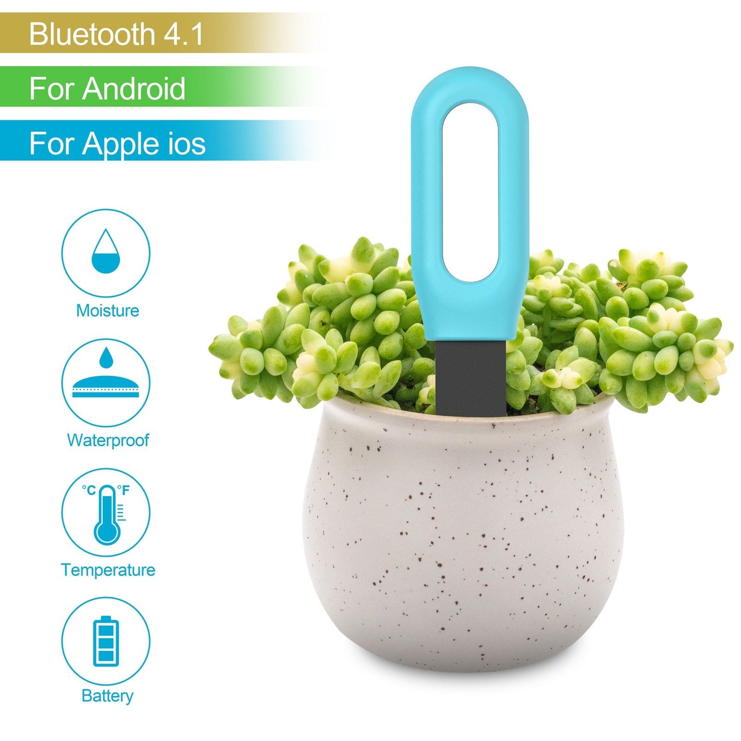 Tuya BT 2-in-1 Soil Moisture & Temperature Tester for Gardening