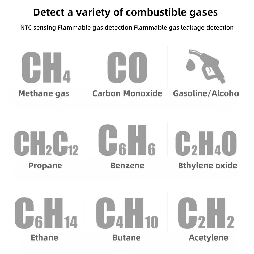 Portable Combustible Gas Leak Detector with Temperature Test & Alarm