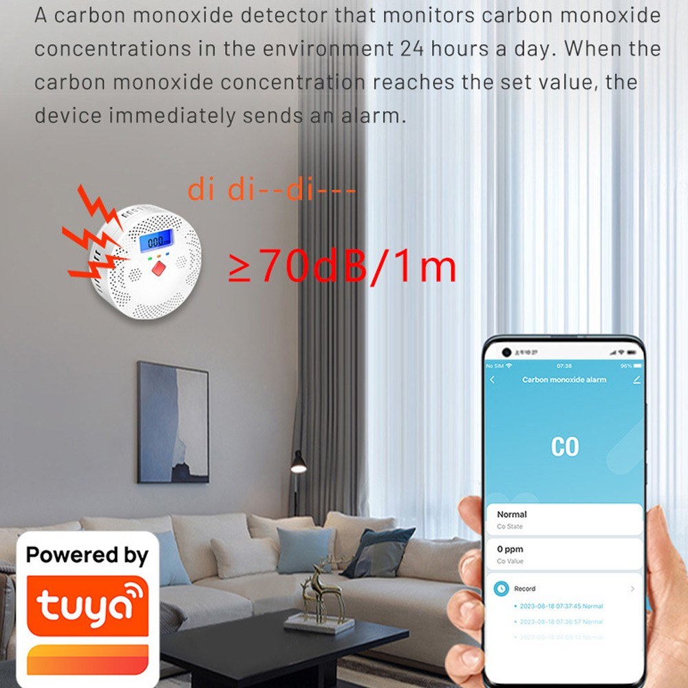 Portable WiFi CO Detector: Tuya Electrochemical Sensor, LCD Display, Sound & Light Alarm, Low Battery Alert