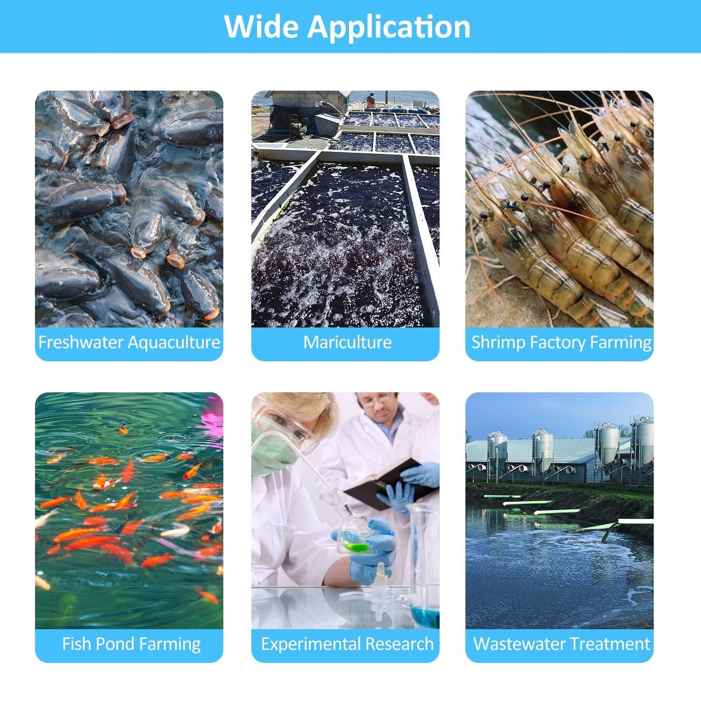 6-in-1 Digital Water Quality Monitor: Dissolved Oxygen, pH, Temperature, Ammonia Detection with DO Probe