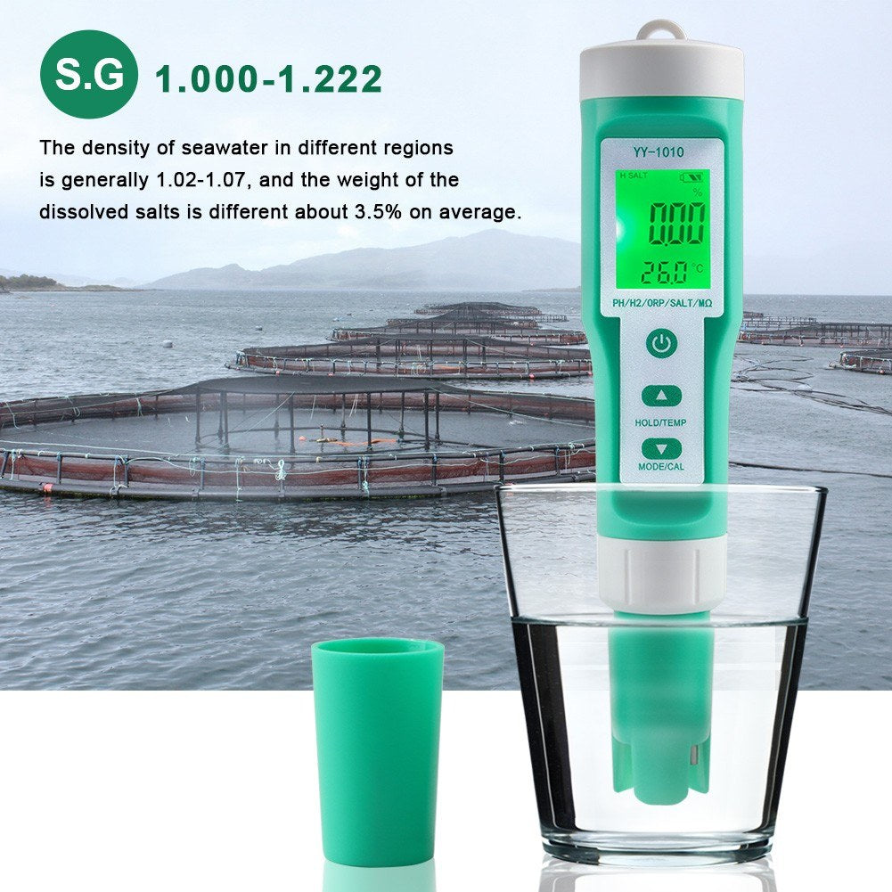 10-in-1 Digital Water Quality Tester: PH, EC, TDS, ORP, H2, Fertility, Salinity, S.G, MΩ, Temperature for Aquariums