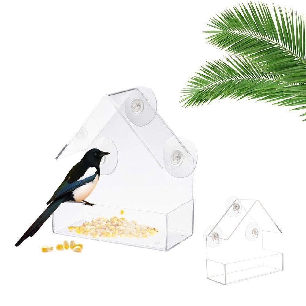 Window Parrot Bird Feeder Box