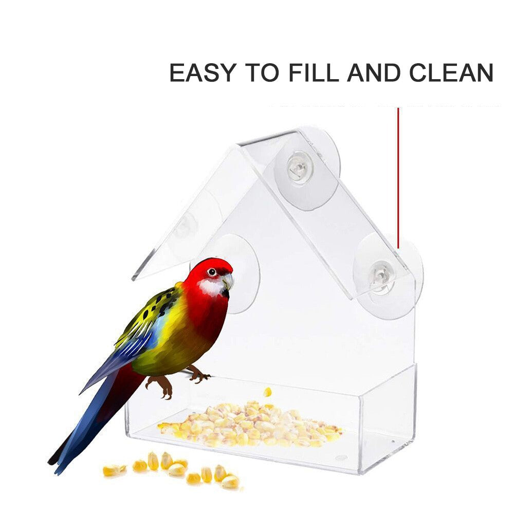 Window Parrot Bird Feeder Box