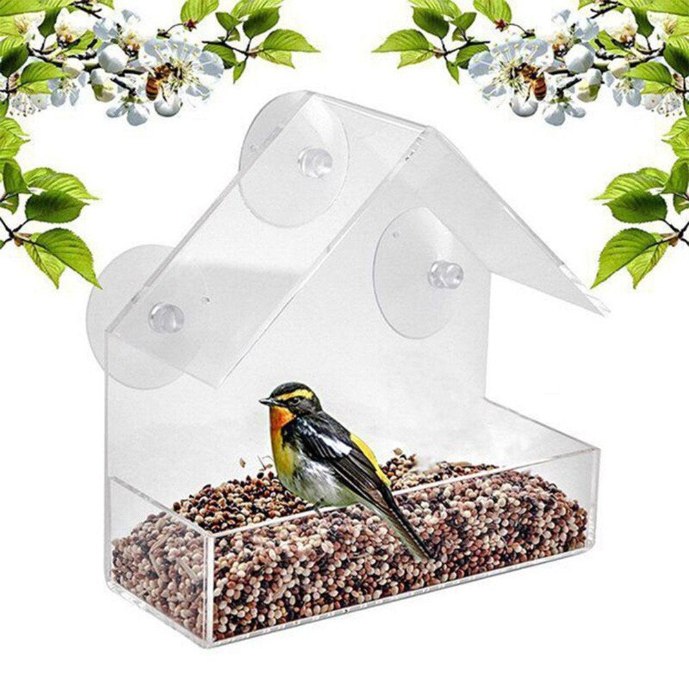 Window Parrot Bird Feeder Box