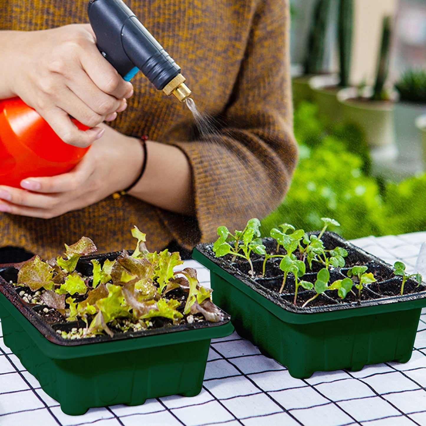 10-Pack Seedling Starter Trays with 12 Cells Each