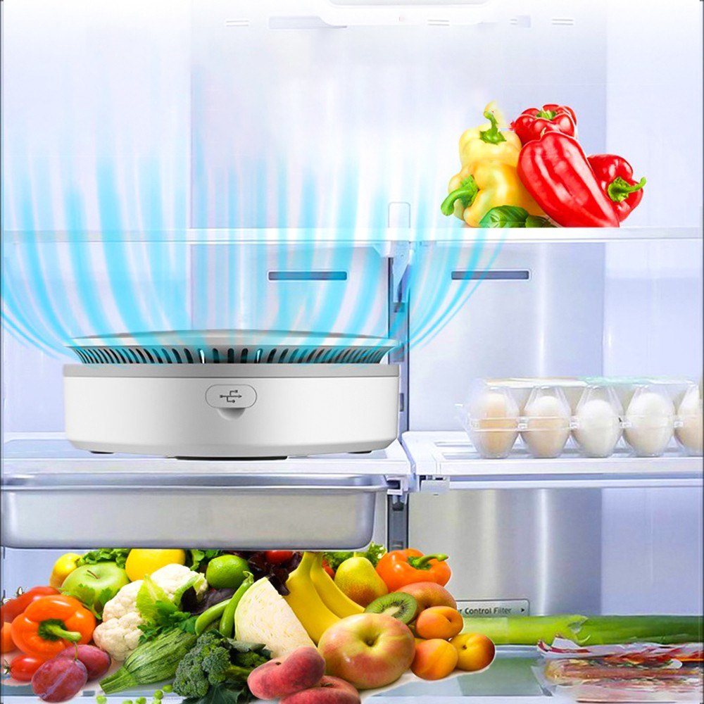 Mini USB Fridge Deodorizer & Ozone Odor Eliminator for Car, Closet, Wardrobe, Pet Area, Toy Storage