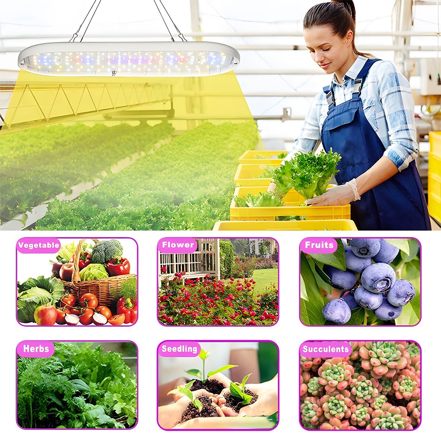Full Spectrum LED Grow Light, 10W with Timer 2H/4H/8H, 4 Dimmable Levels, for Indoor Plants, Flowers, Seedlings, Vegetables, Peppers - Hanging Growing Lamps