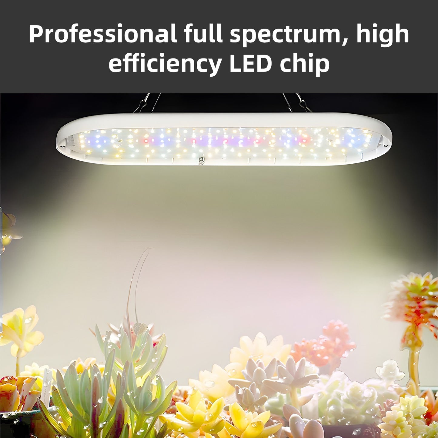 Full Spectrum LED Grow Light, 10W with Timer 2H/4H/8H, 4 Dimmable Levels, for Indoor Plants, Flowers, Seedlings, Vegetables, Peppers - Hanging Growing Lamps