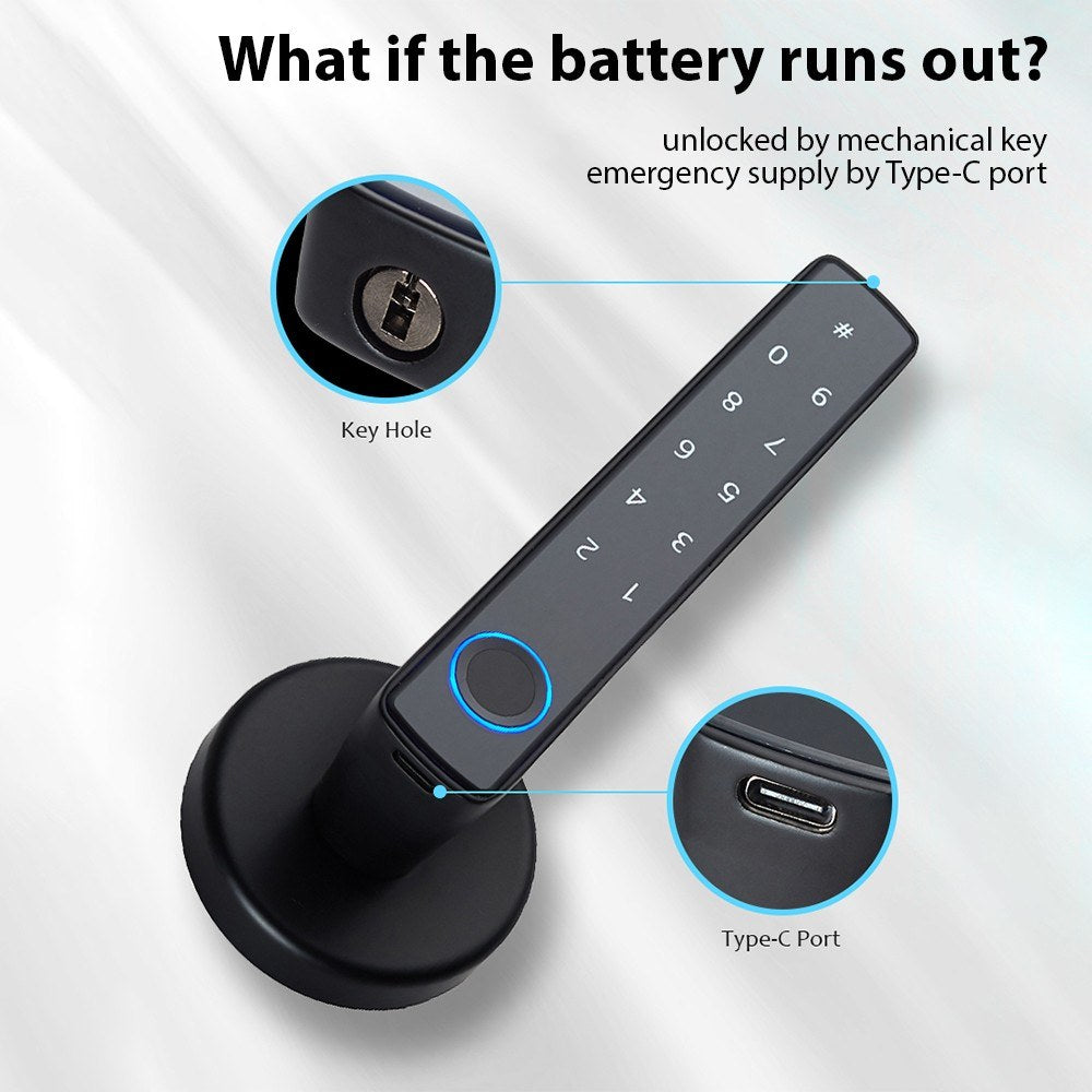 Wafu 4-in-1 Keyless Smart Lock: Biometric & Password Entry with Tuya App & BT Remote for 35-55mm Doors