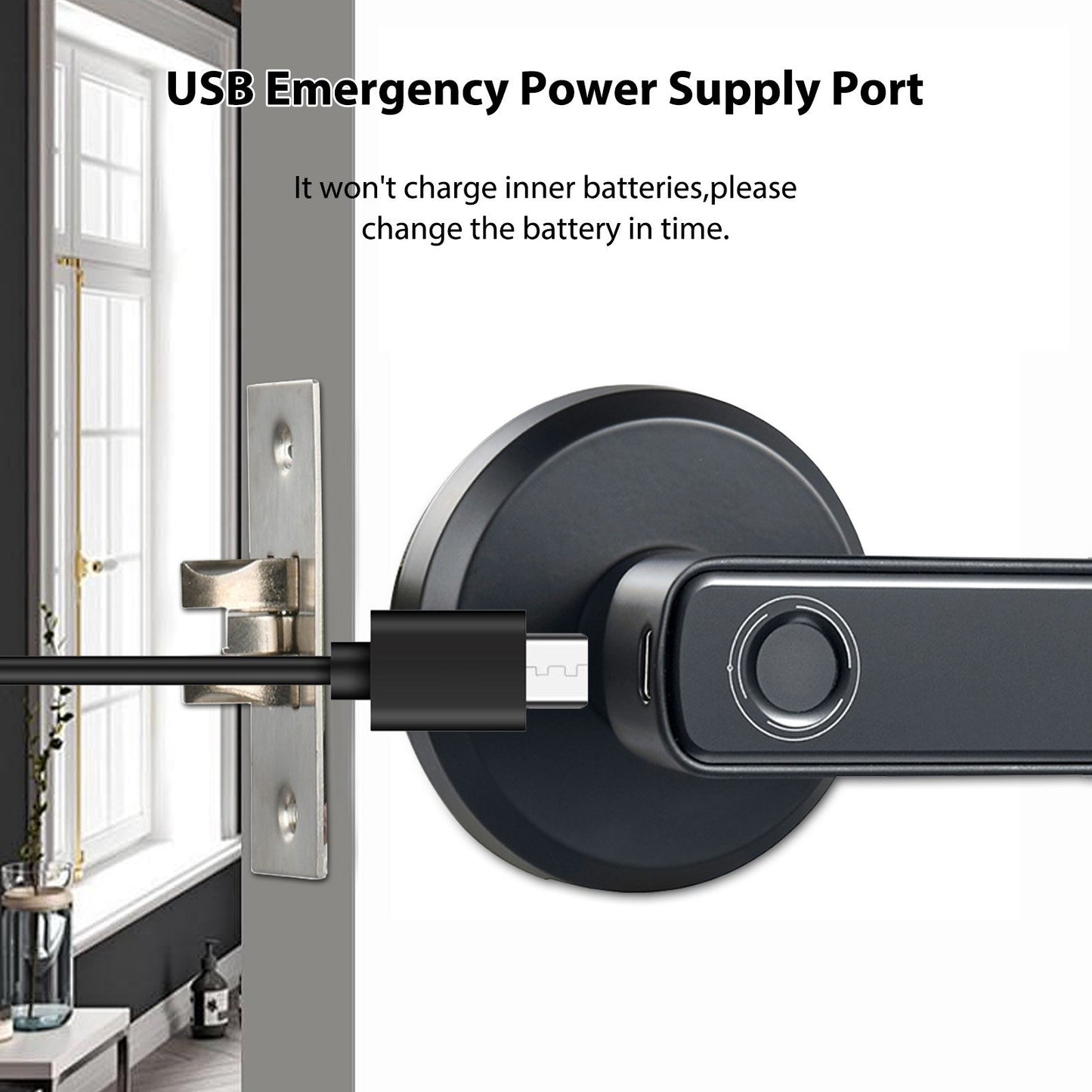 Smart Fingerprint Biometric Keyless Door Lock with USB-C Charging & Emergency Unlock for Office/Home