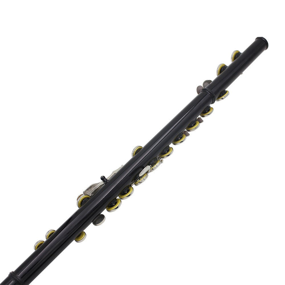 Silver Plated Cupronickel Western Concert Flute, 16 Holes, C Key Woodwind Instrument