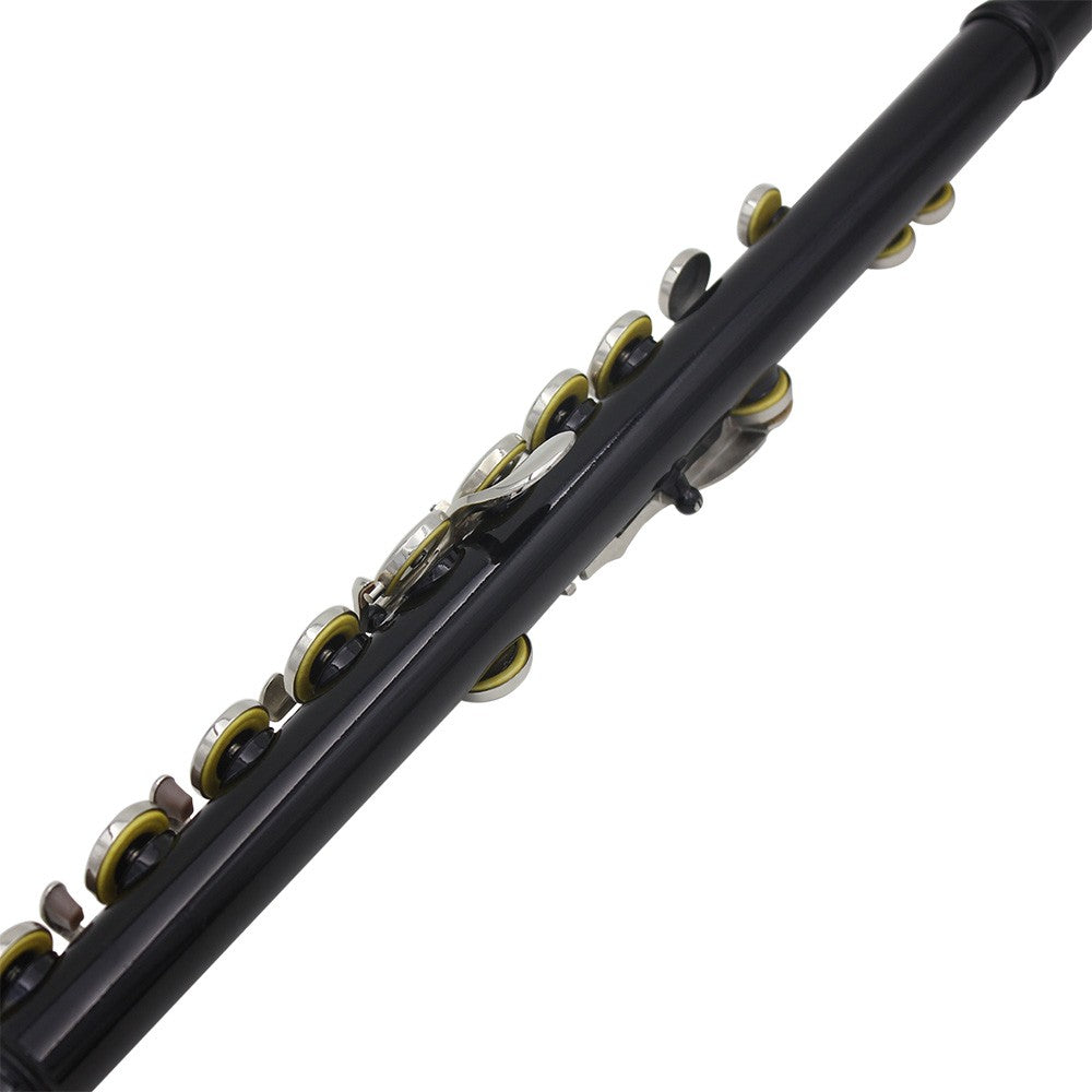 Silver Plated Cupronickel Western Concert Flute, 16 Holes, C Key Woodwind Instrument