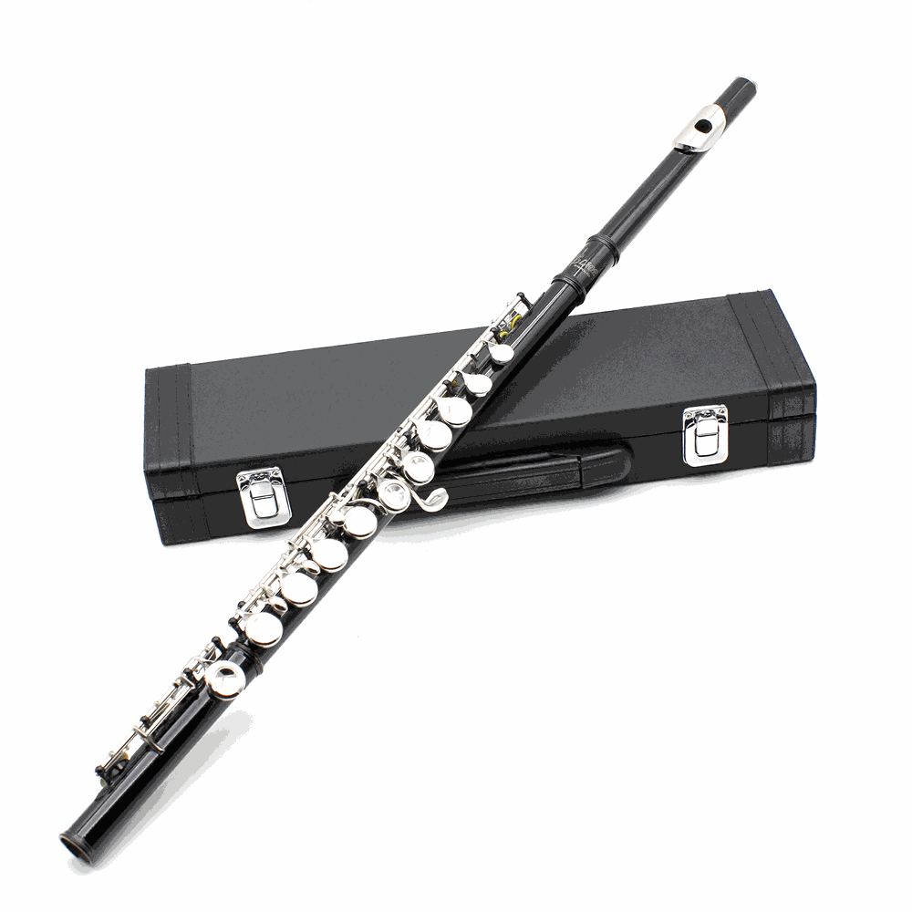 Silver Plated Cupronickel Western Concert Flute, 16 Holes, C Key Woodwind Instrument