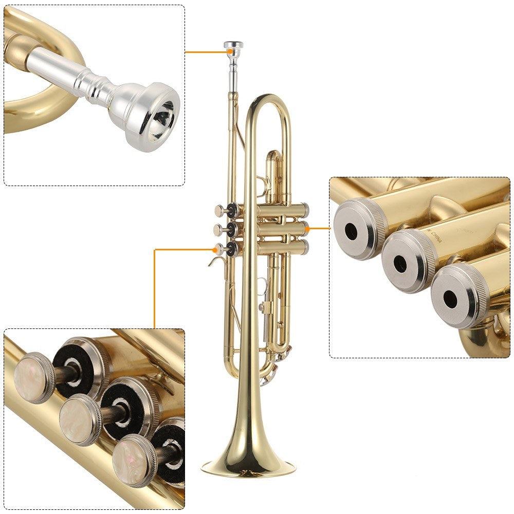 Bb Flat Gold Brass Trumpet - Exquisite Design with Full Accessory Kit