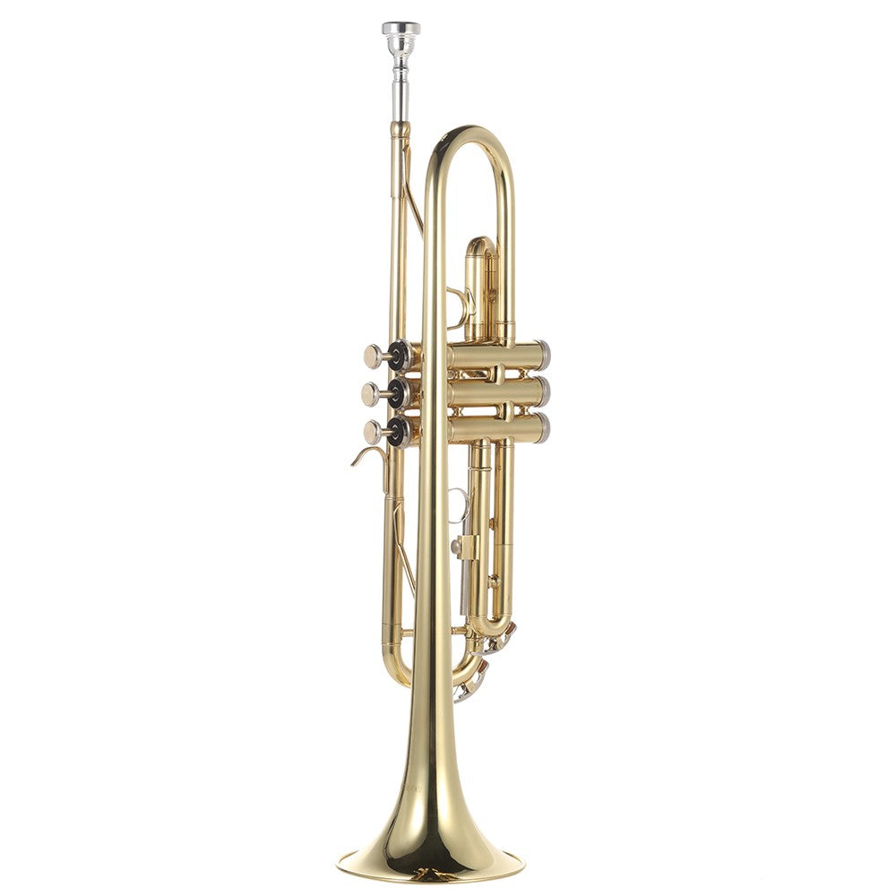 Bb Flat Gold Brass Trumpet - Exquisite Design with Full Accessory Kit