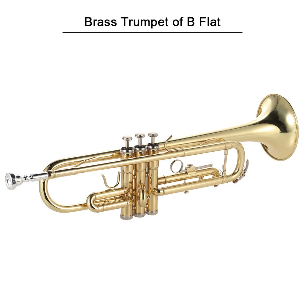 Bb Flat Gold Brass Trumpet - Exquisite Design with Full Accessory Kit