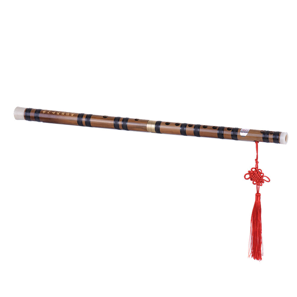 Handmade Pluggable Bitter Bamboo Dizi: Beginners Traditional Chinese Flute in E Key