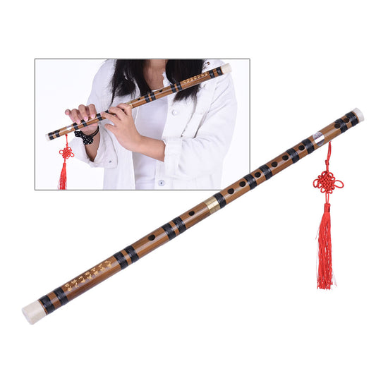 Handmade Pluggable Bitter Bamboo Dizi: Beginners Traditional Chinese Flute in E Key