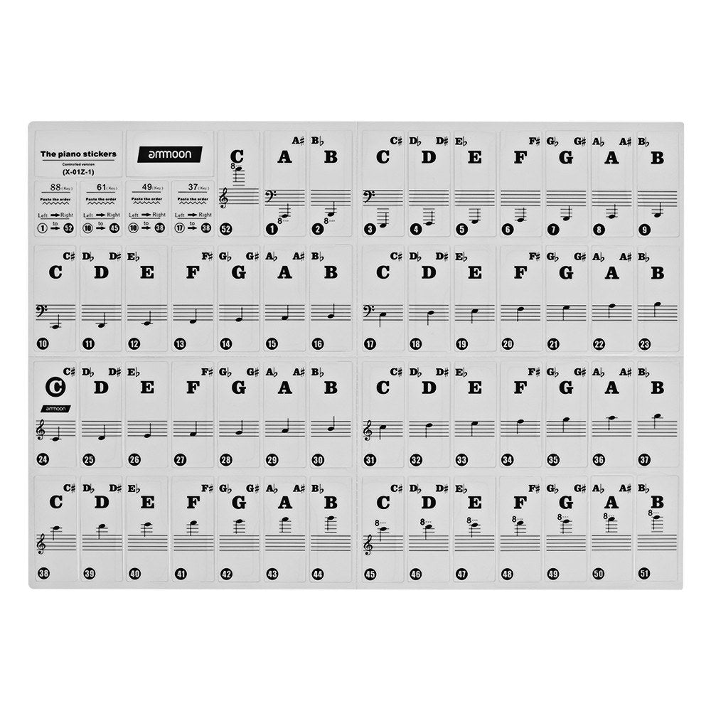Colorful Removable Piano Keyboard Stickers for 37/49/61/88 Keys - ammood Kids Beginners Learning Tool