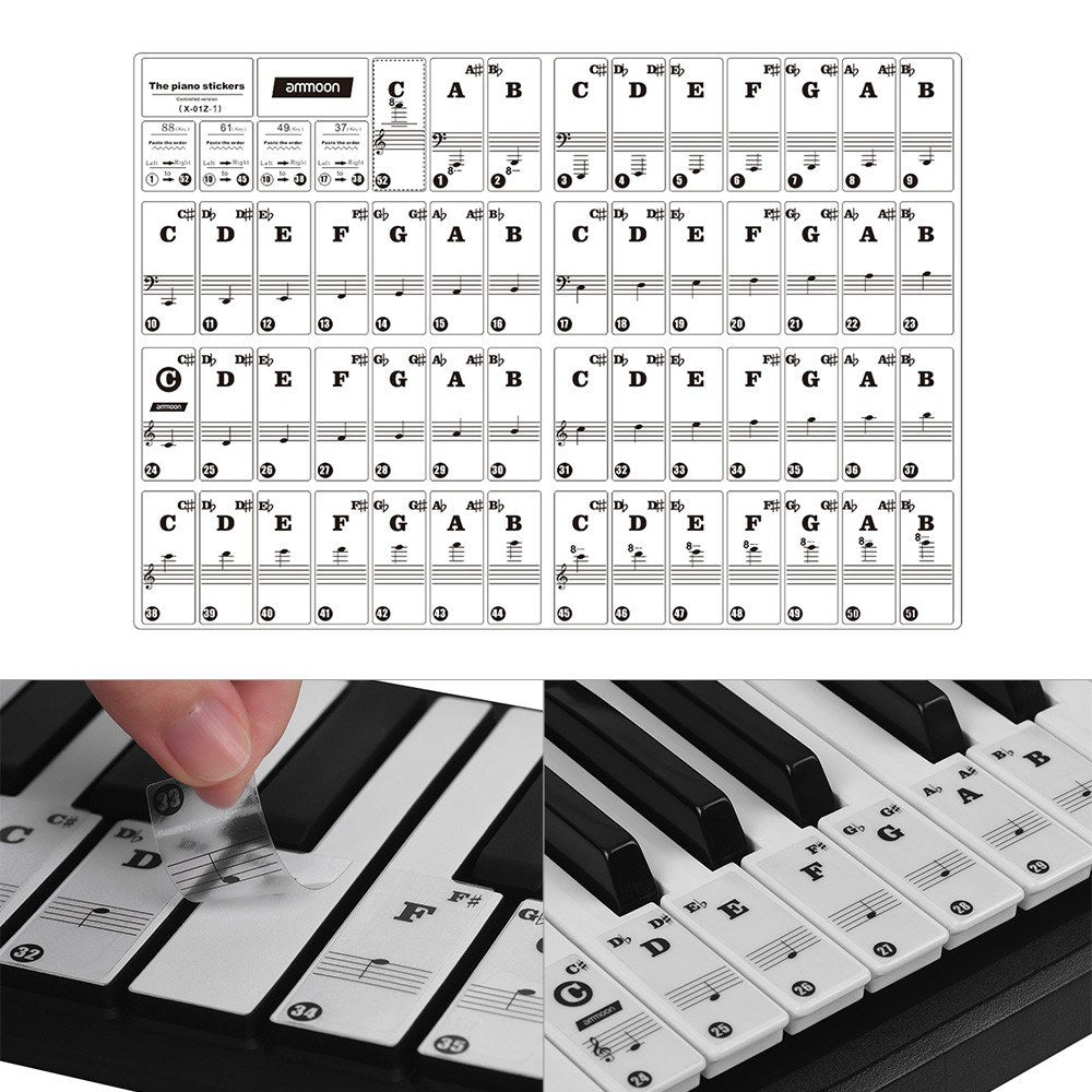 Colorful Removable Piano Keyboard Stickers for 37/49/61/88 Keys - ammood Kids Beginners Learning Tool