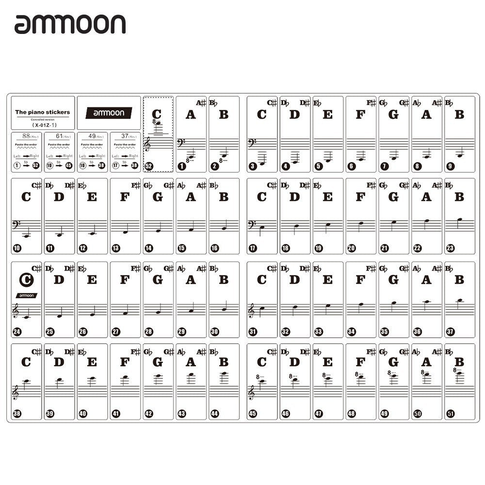 Colorful Removable Piano Keyboard Stickers for 37/49/61/88 Keys - ammood Kids Beginners Learning Tool