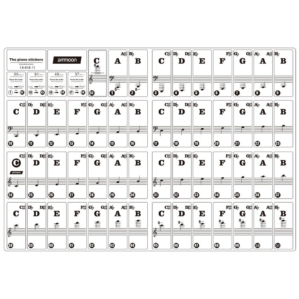 Colorful Removable Piano Keyboard Stickers for 37/49/61/88 Keys - ammood Kids Beginners Learning Tool