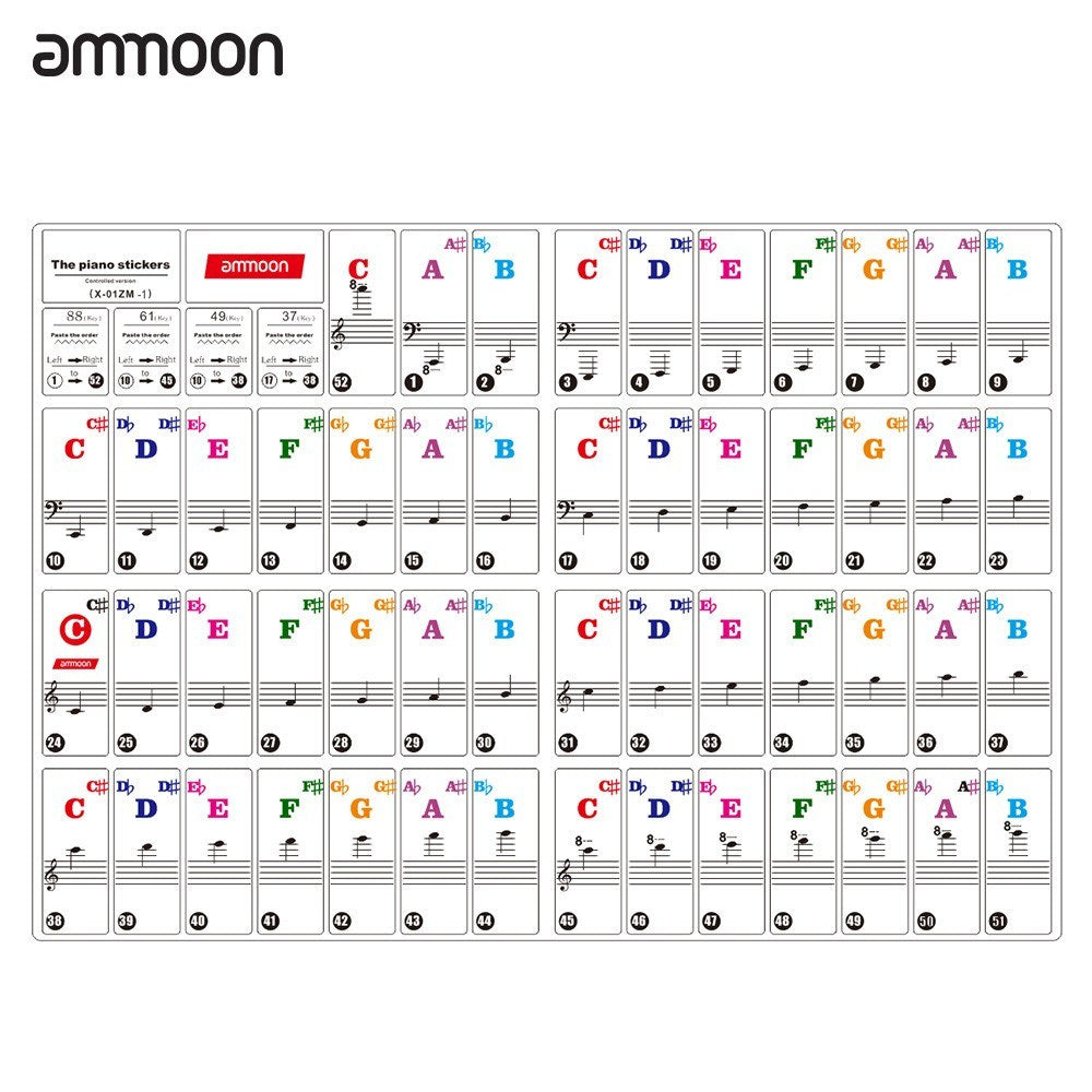 Colorful Removable Piano Keyboard Stickers for 37/49/61/88 Keys - ammood Kids Beginners Learning Tool