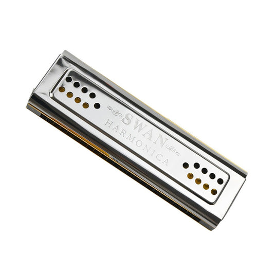 24-Hole Double Tone Harmonica in C and G - Woodwind Instrument