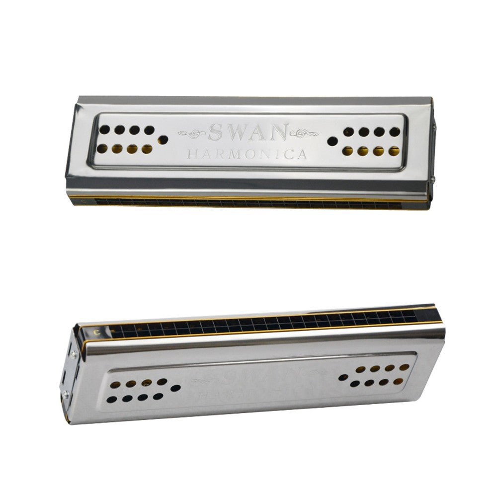 24-Hole Double Tone Harmonica in C and G - Woodwind Instrument