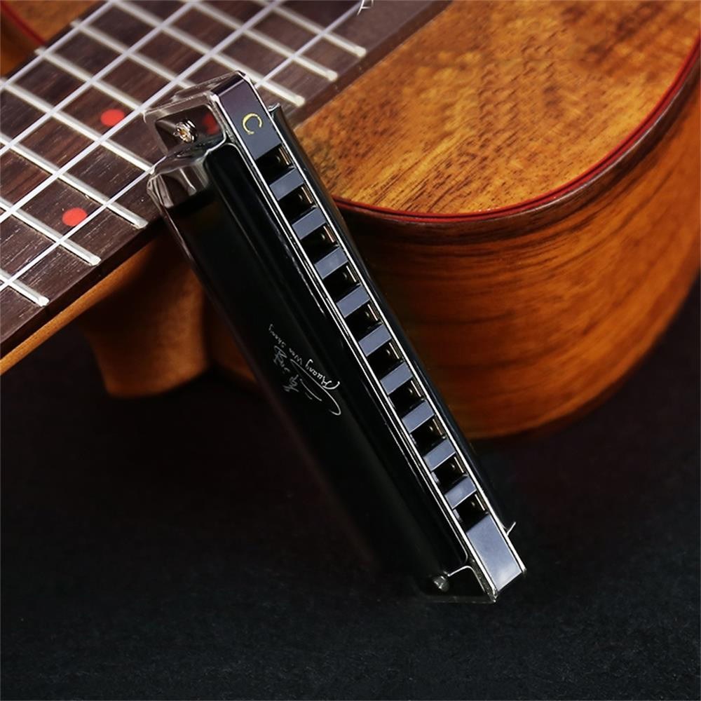 Swan 10-Hole Diatonic Blues Harmonica, Key of C - SW1020-7