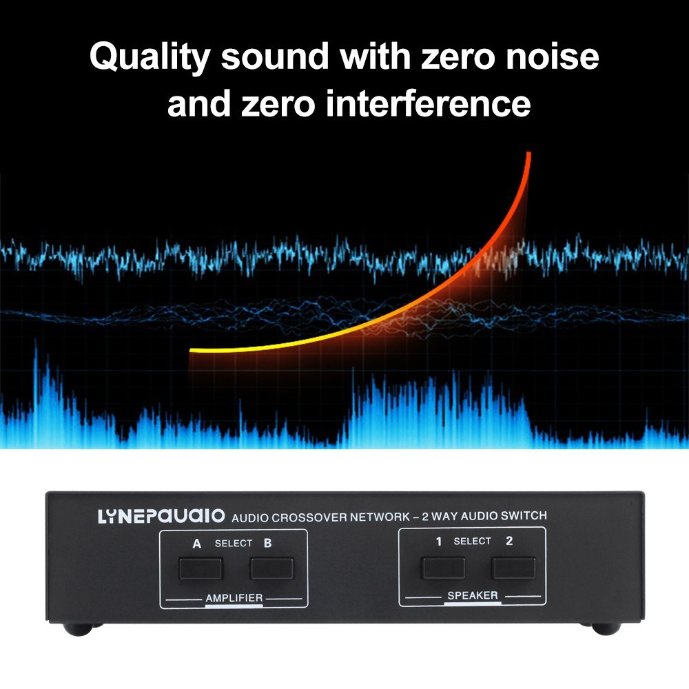 LYNEPAUAIO Dual In/Out Speaker Selector Switch