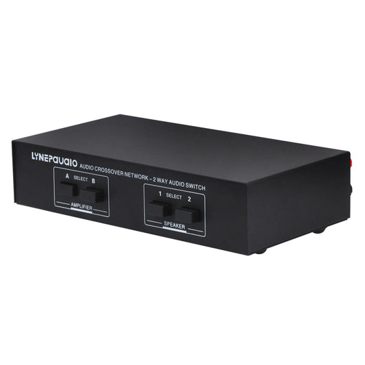 LYNEPAUAIO Dual In/Out Speaker Selector Switch