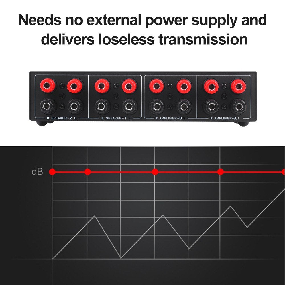 LYNEPAUAIO Dual In/Out Speaker Selector Switch