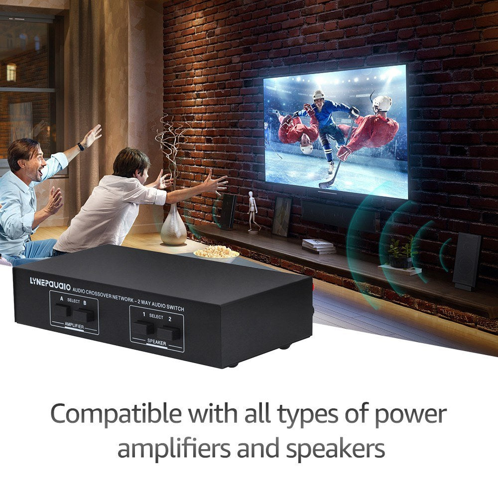 LYNEPAUAIO Dual In/Out Speaker Selector Switch