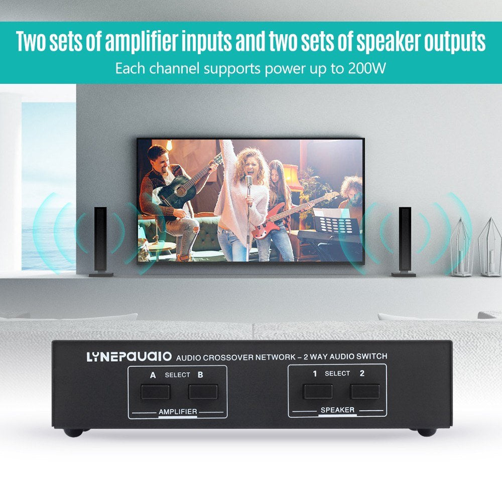 LYNEPAUAIO Dual In/Out Speaker Selector Switch
