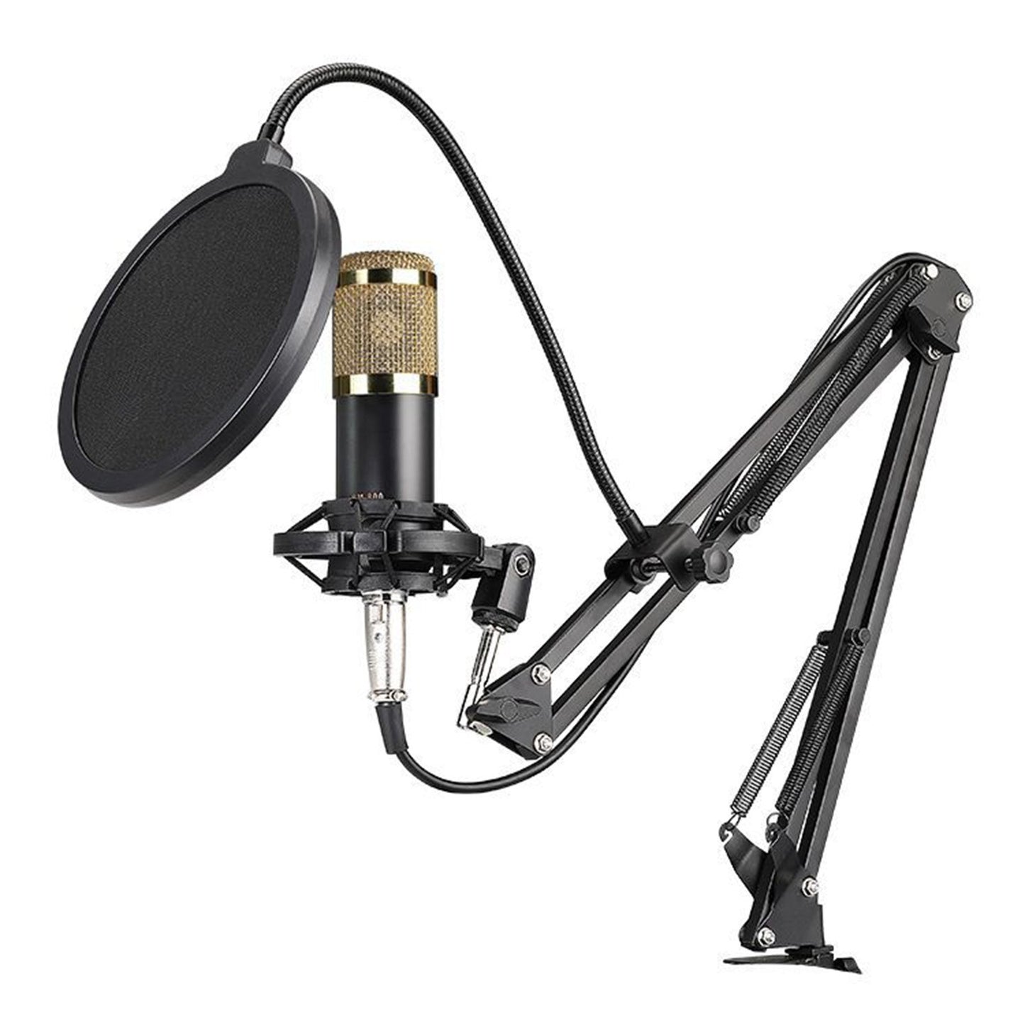 V8S Sound Card & BM800 Condenser Microphone Set