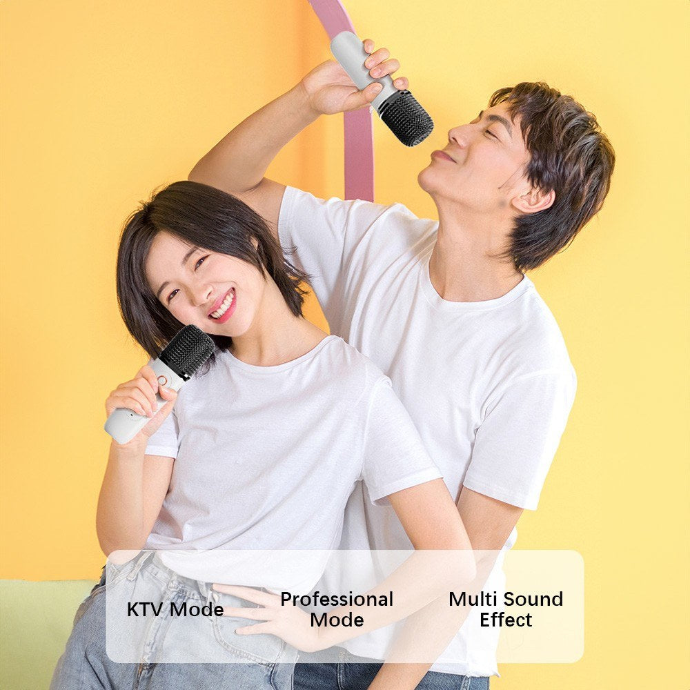 Y1 Portable Mini Karaoke Machine with Microphone & Sound Box Set
