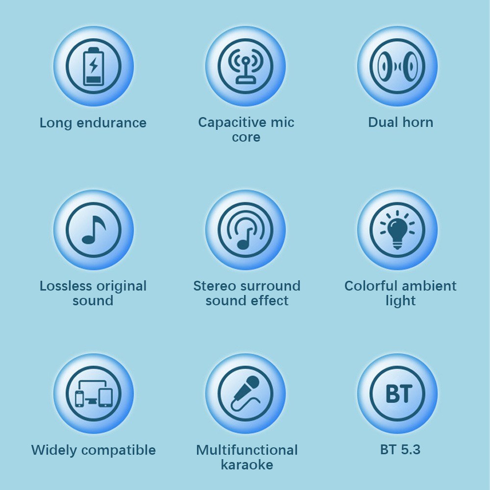 Y1 Portable Mini Karaoke Machine with Microphone & Sound Box Set