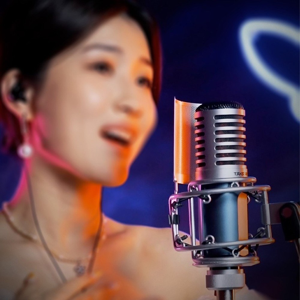 TAKSTAR SM-9 Cardioid Condenser Recording Microphone