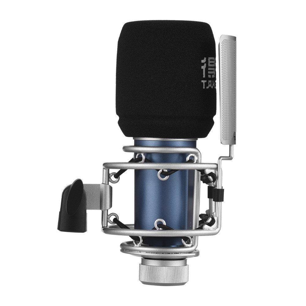 TAKSTAR SM-9 Cardioid Condenser Recording Microphone