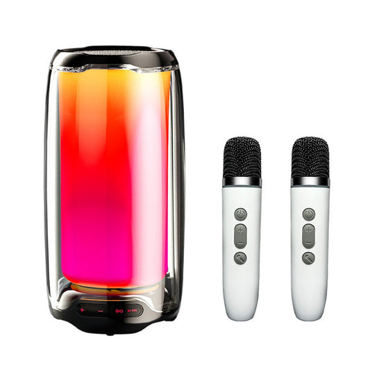 Wireless Bluetooth Karaoke Speaker with Dual Microphones